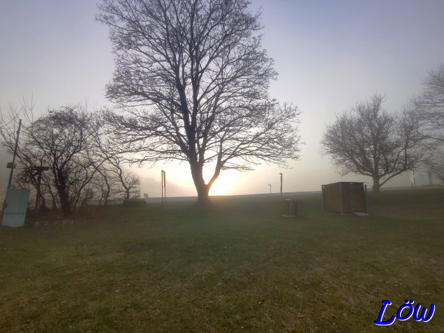 31.12.2024 - Letzter Sonnenuntergang Kuhheide